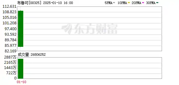 布鲁可：下一个泡泡玛特还是独一无二？IP依赖与偏科隐忧交织